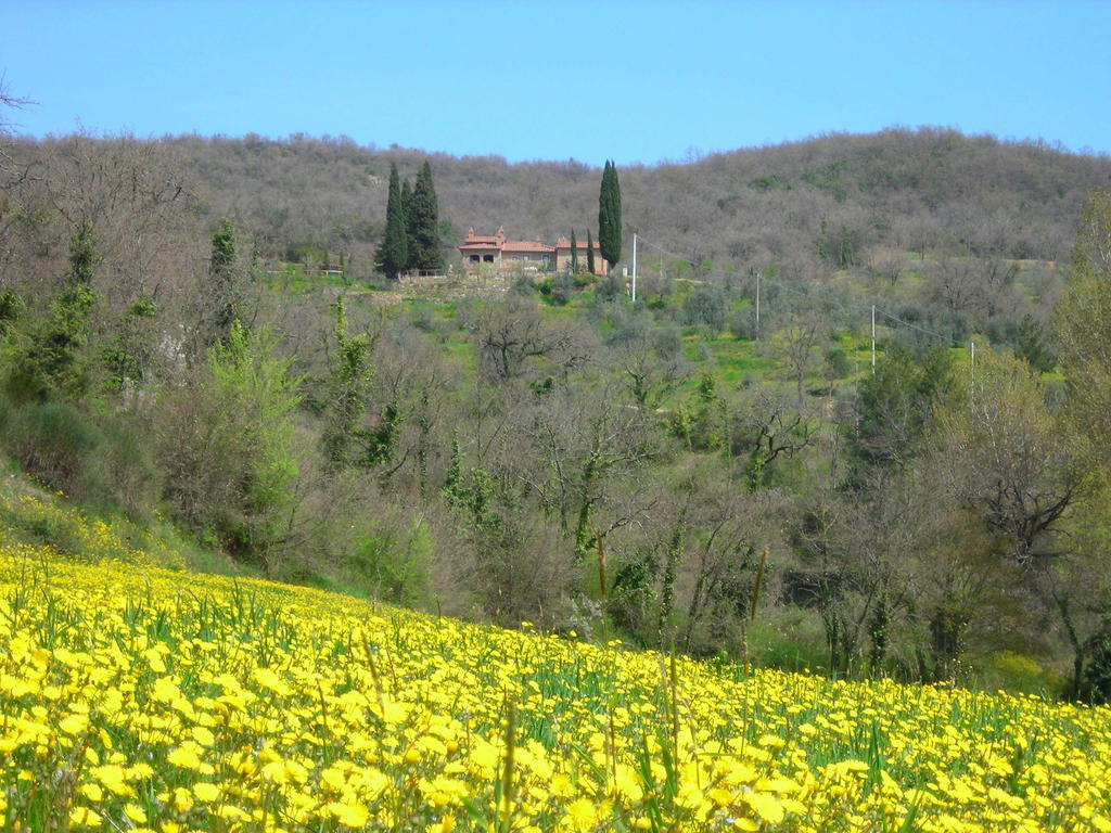 Allegro Agriturismo Argiano Arezzo Esterno foto