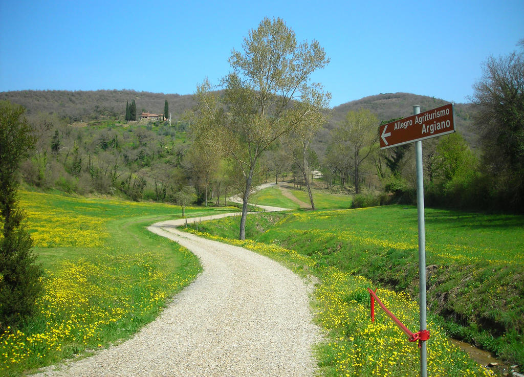 Allegro Agriturismo Argiano Arezzo Esterno foto