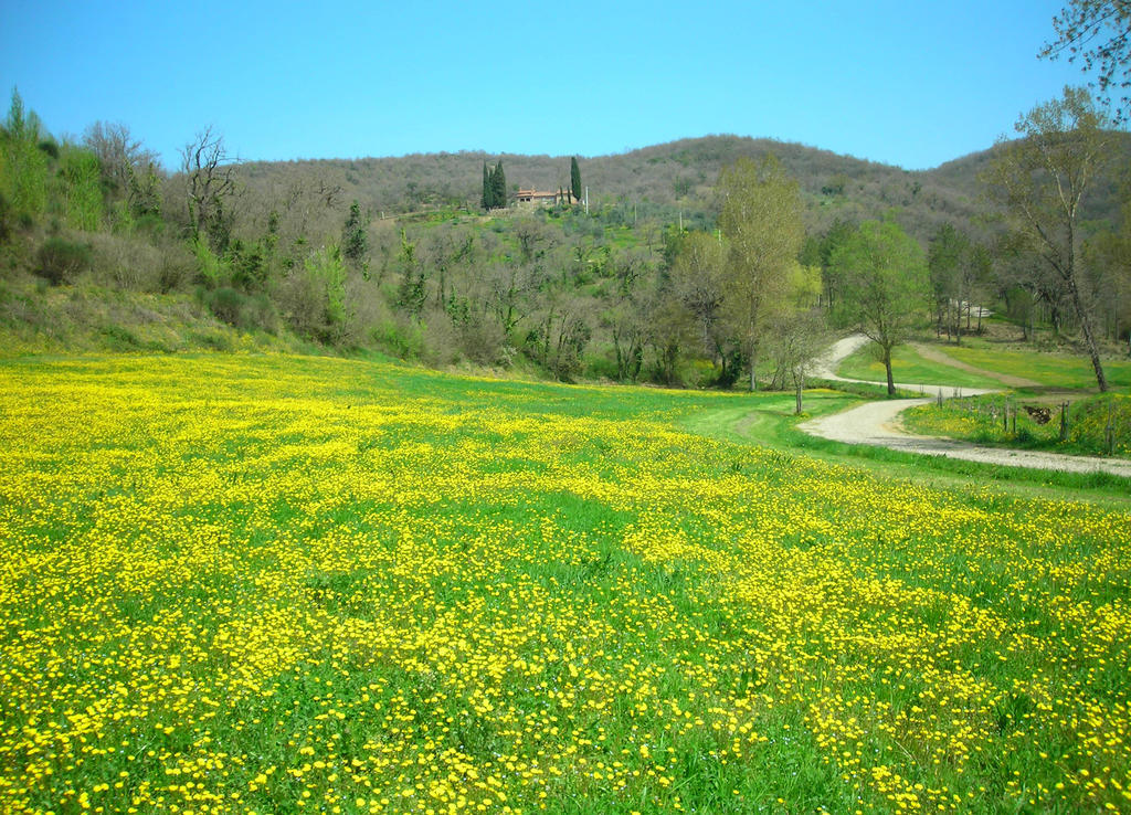 Allegro Agriturismo Argiano Arezzo Esterno foto